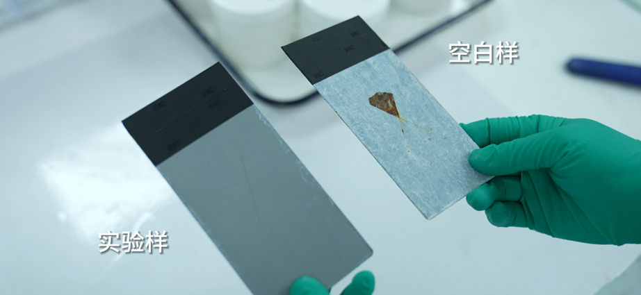 20250120163814821.png 20250120163814821.png